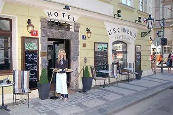 ***  U Schnellu Hotel Prague Чехия
